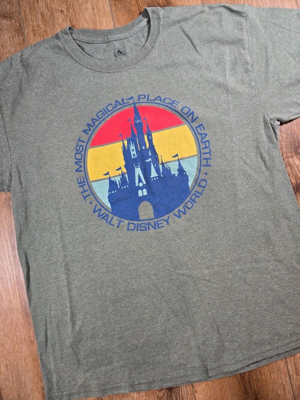 Walt Disney World Shirt Mens Large Gray Most Magical Place Earth Graphic Tee